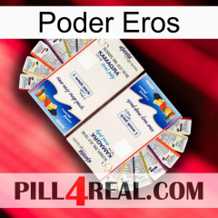 Eros Power kamagra1